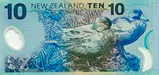 The NZ Blue Duck is on our $10 note